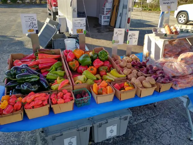 Beaver Dam Farmer's Market