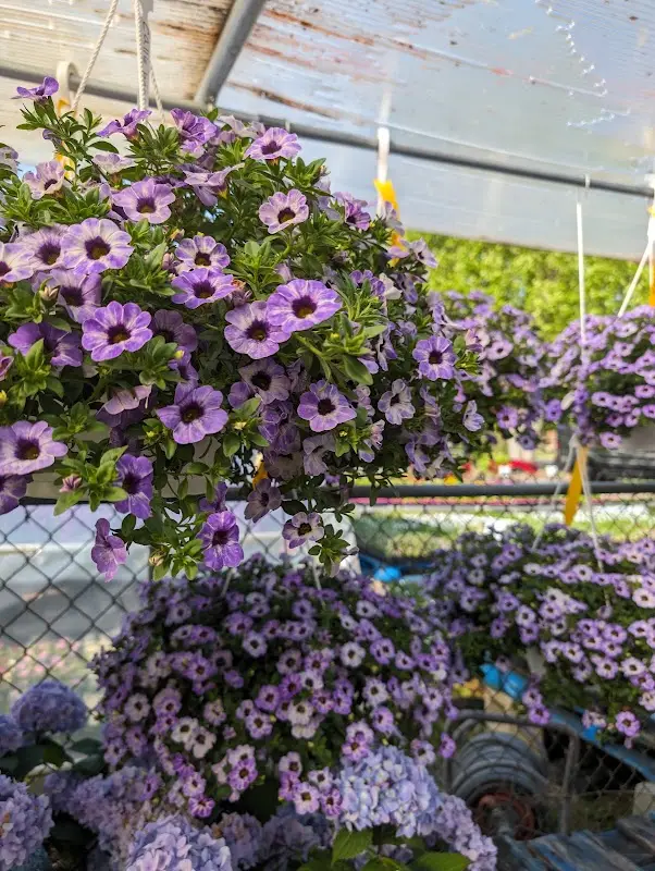 Bedford Farmer's Market