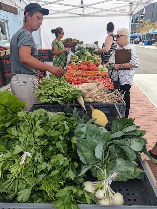 Belleville Farmers Market photo 2