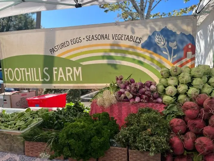 Bellevue Farmers Market-Saturday