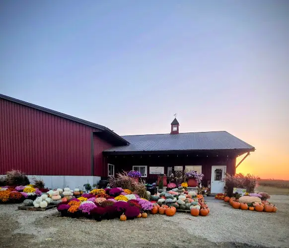 Belvidere Farmer's Market