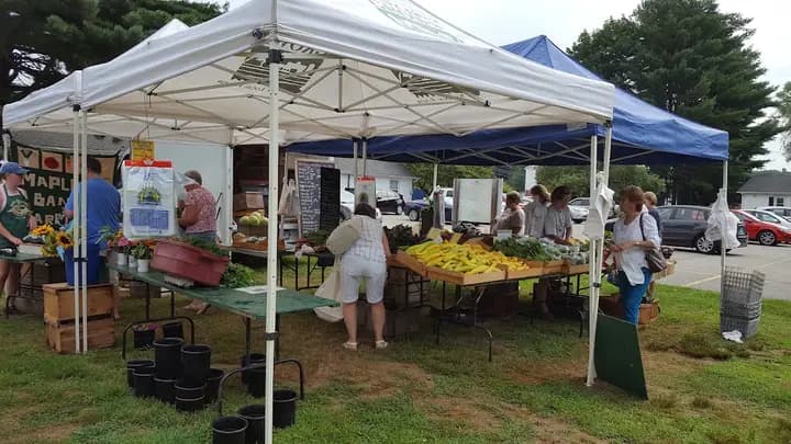 Bethel Farmers Market photo 2