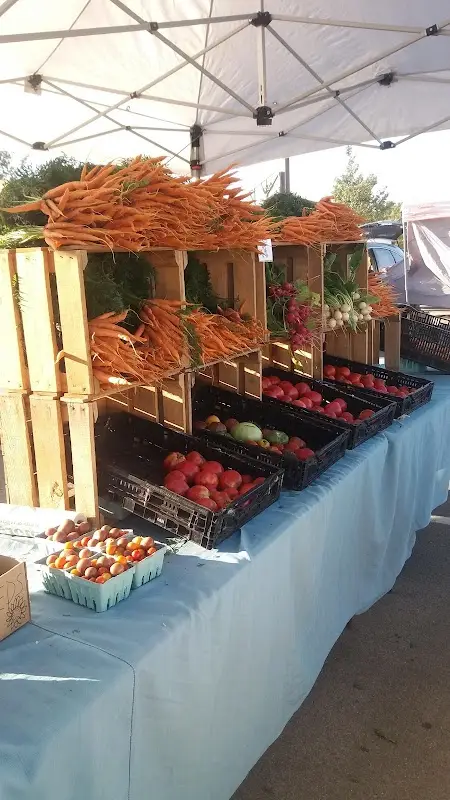Binford Farmers Market photo 2
