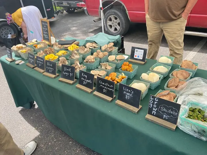 Boalsburg Farmers Market photo 2