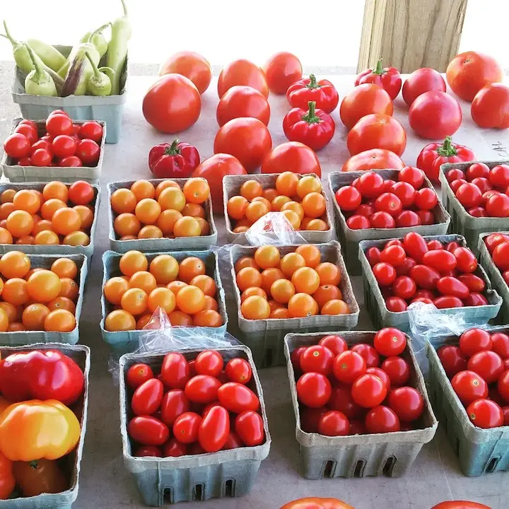 Boone Farmers Market Association