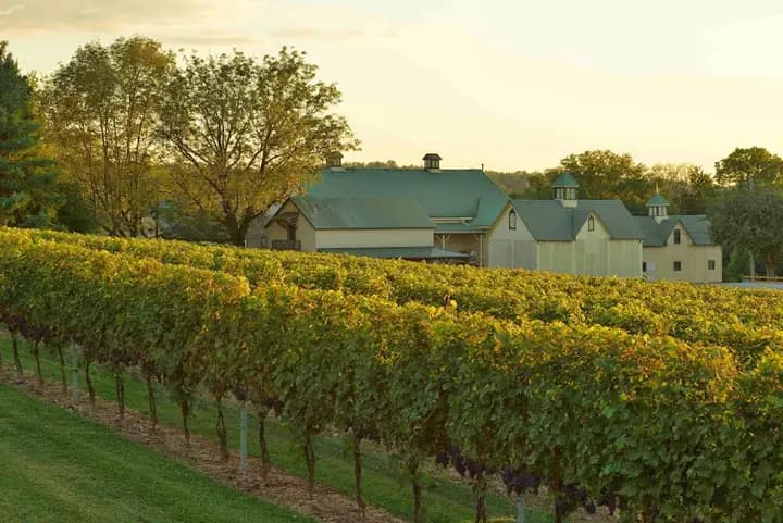 Boordy Vineyards-Good Life Thursdays