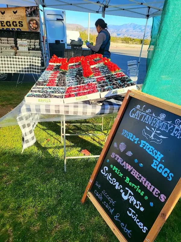 Borrego Springs Chamber of Commerce Farmers Market photo 2