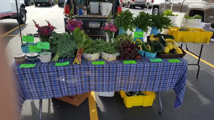 Brighton Farmers' Market photo 2