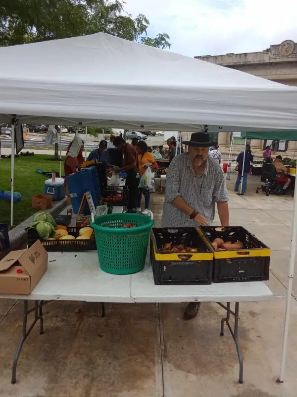 Brockton Farmers Market - City Hall Plaza photo 2