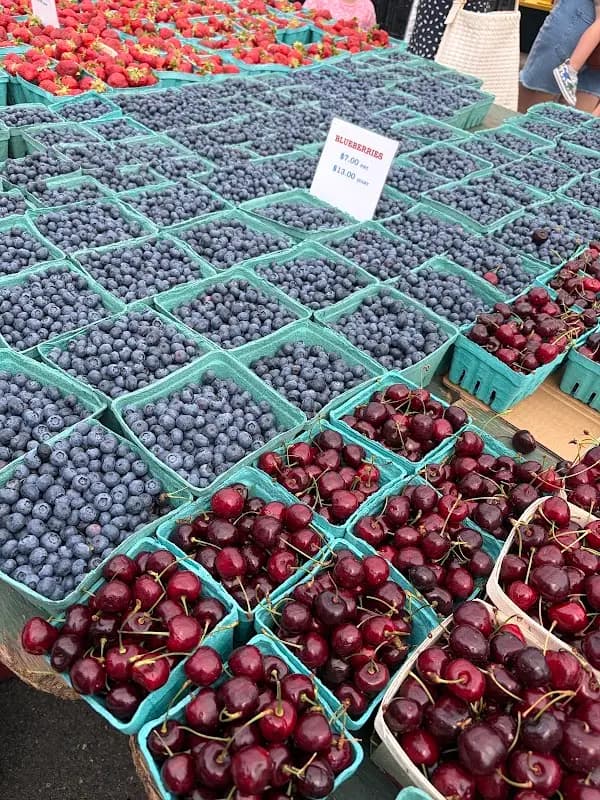 Bronxville Farmers Market photo 2