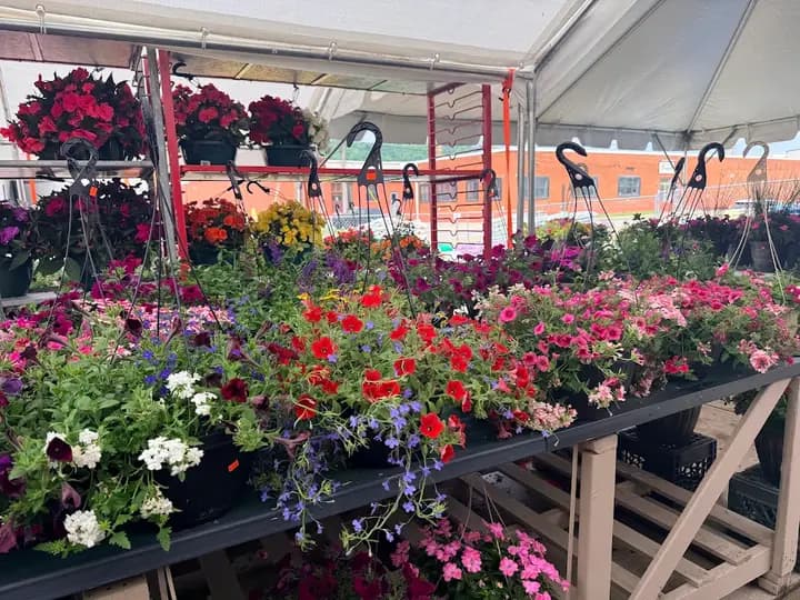Brooke County Farmers Market - Wellsburg photo 2