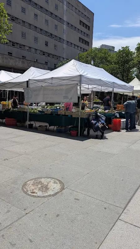 Brooklyn Borough Hall Greenmarket