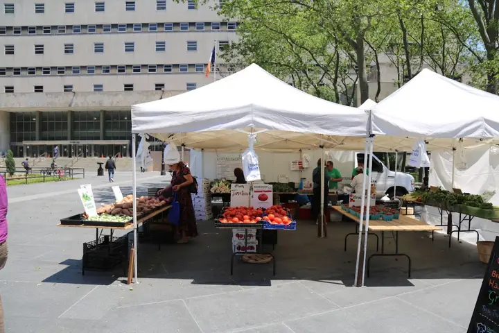 Brooklyn Borough Hall Greenmarket photo 2
