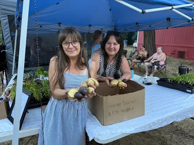 Brownsville Farmers Market
