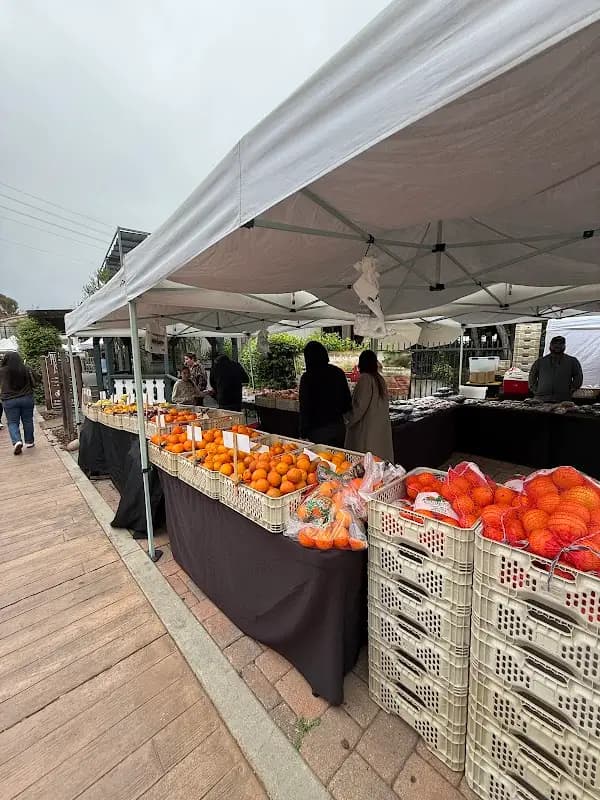 Calabasas Old Town Farmers Market photo 2