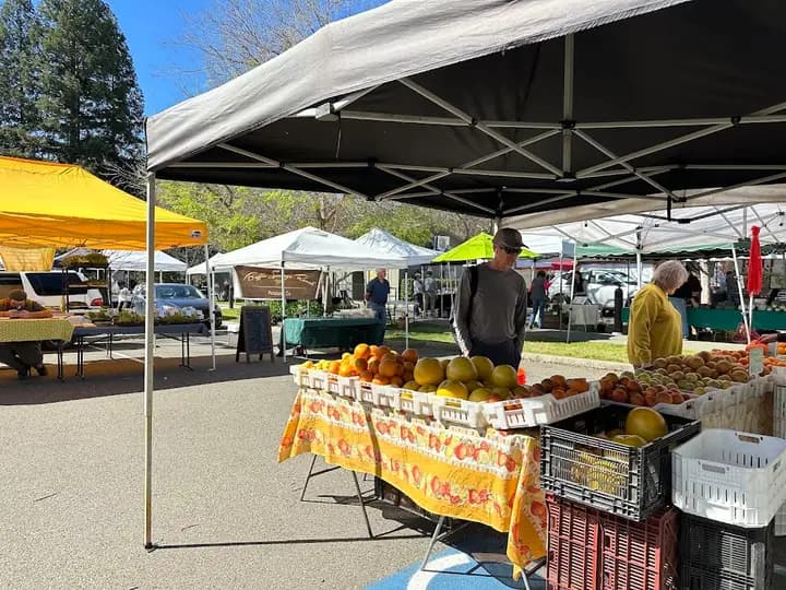 Calistoga Farmers Market photo 2