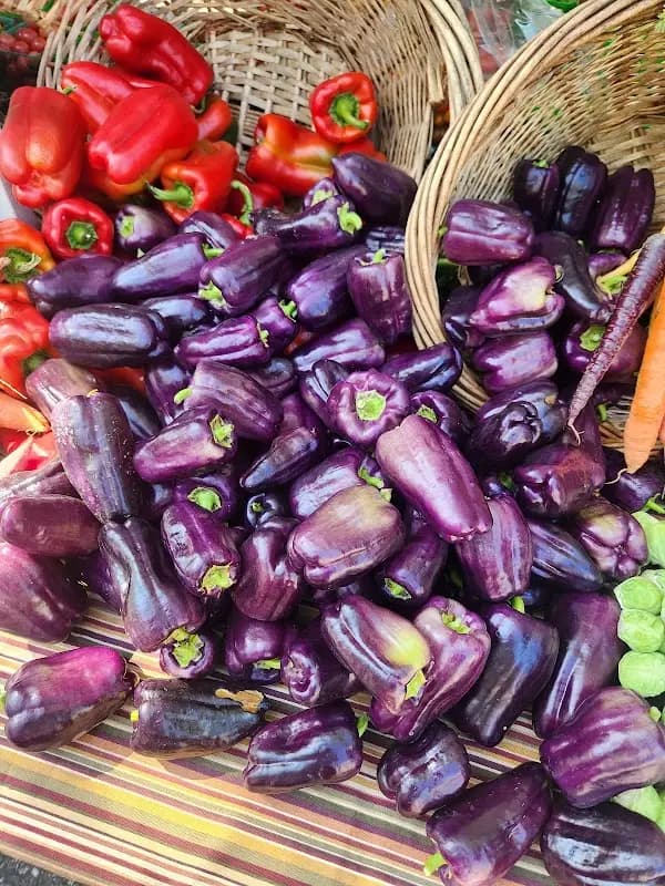 Campbell Farmers' Market photo 2