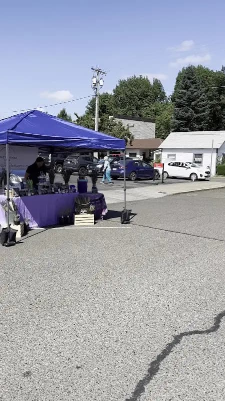 Canby Saturday Market