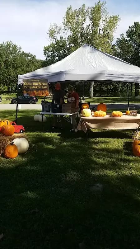 Cannon Park Community Market
