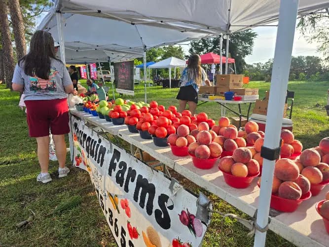 Canton Farmers Market