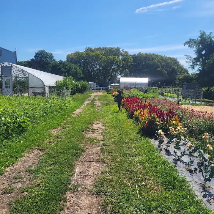 Capital City Farmers Market