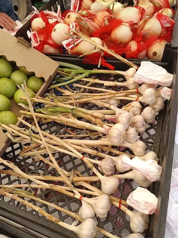 Capital Farmers Market I photo 2