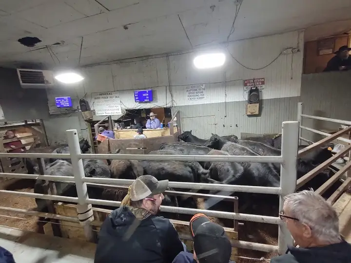 Captina Produce Auction photo 2