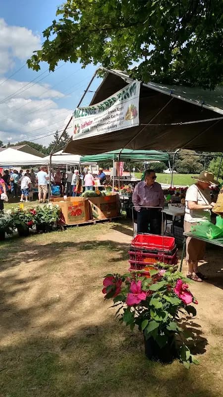 Carousel Park Farmers Market