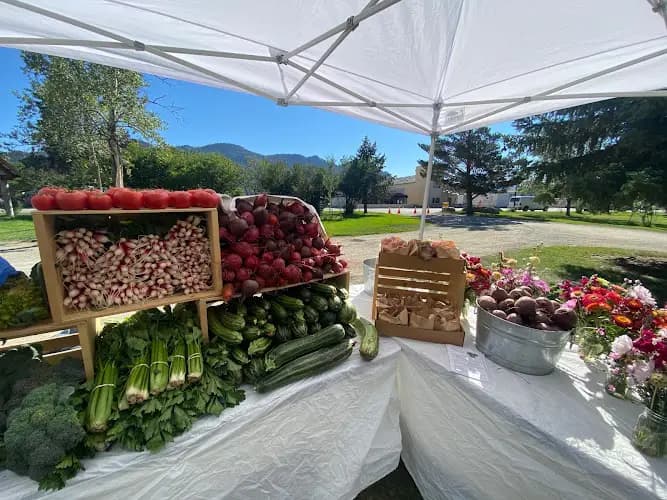 CCFA Salida Farmers Market