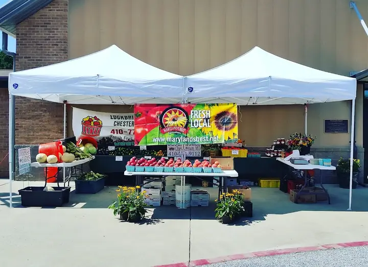 Centerville Farmers Market photo 2