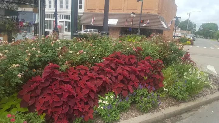 Certified Arkansas Farmers Market Argenta