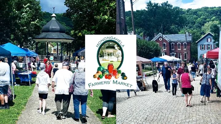 Charleroi Farmers Market photo 2