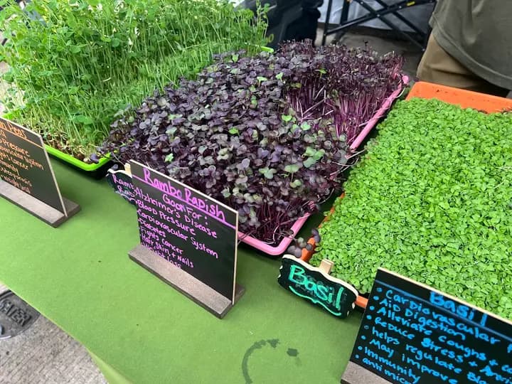 Charlestown Farmers Market