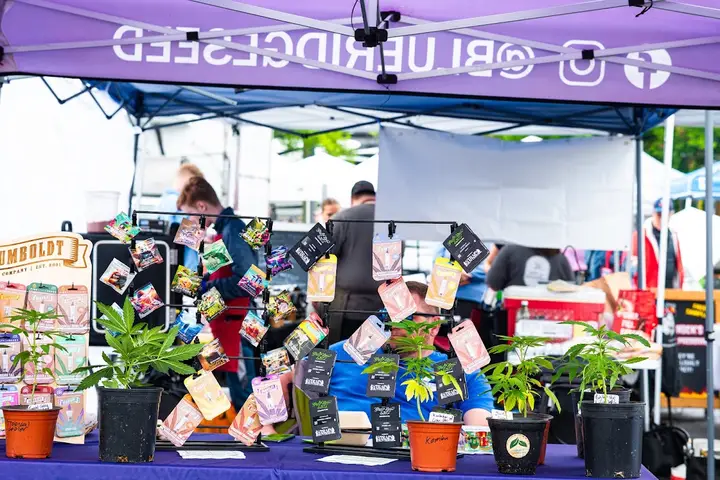 Charlottesville City Market