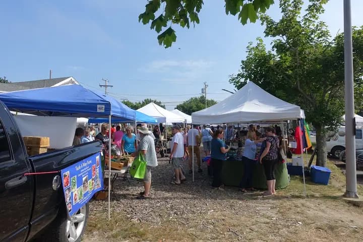 Chatham Farmer's Market photo 2