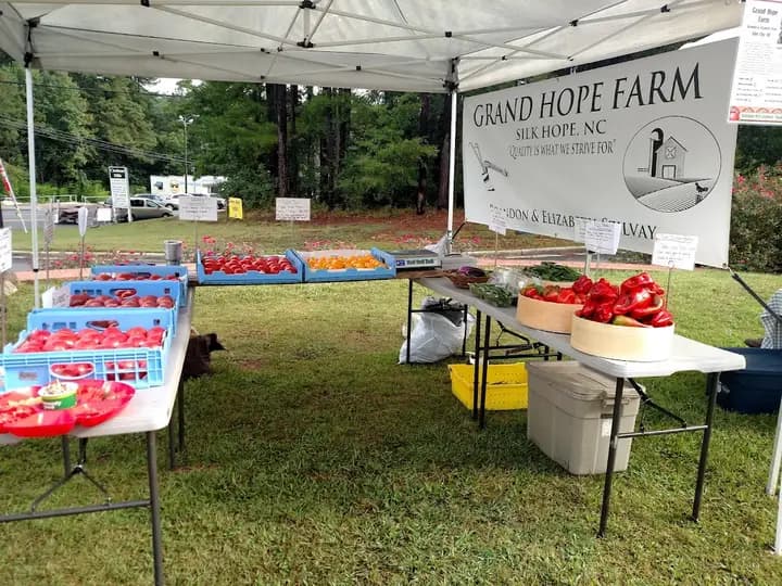 Chatham Mills Farmers' Market photo 2