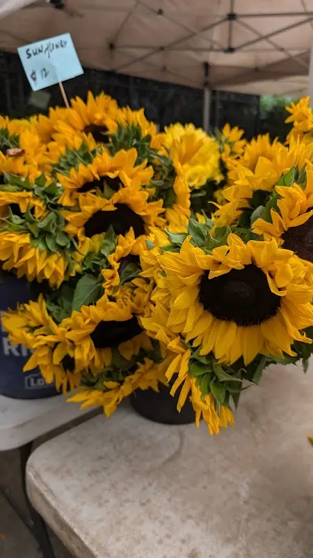 Chelsea's Down to Earth Farmers Market photo 2