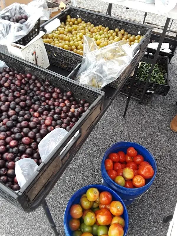 Cherokee County Farmers Market