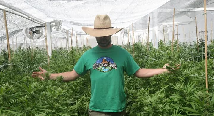 Chimney Rock Farms photo 2