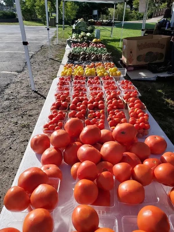 City of Grayling Farm Market