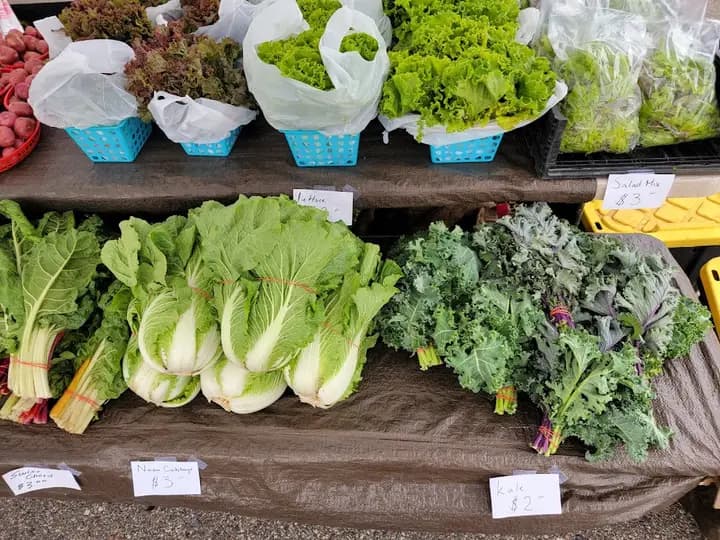 City of Plymouth Farmers Market