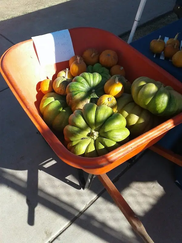 Clark Park Farmer's Market photo 2