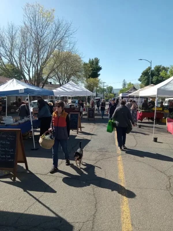 Cloverdale Certified Farmers Market photo 2