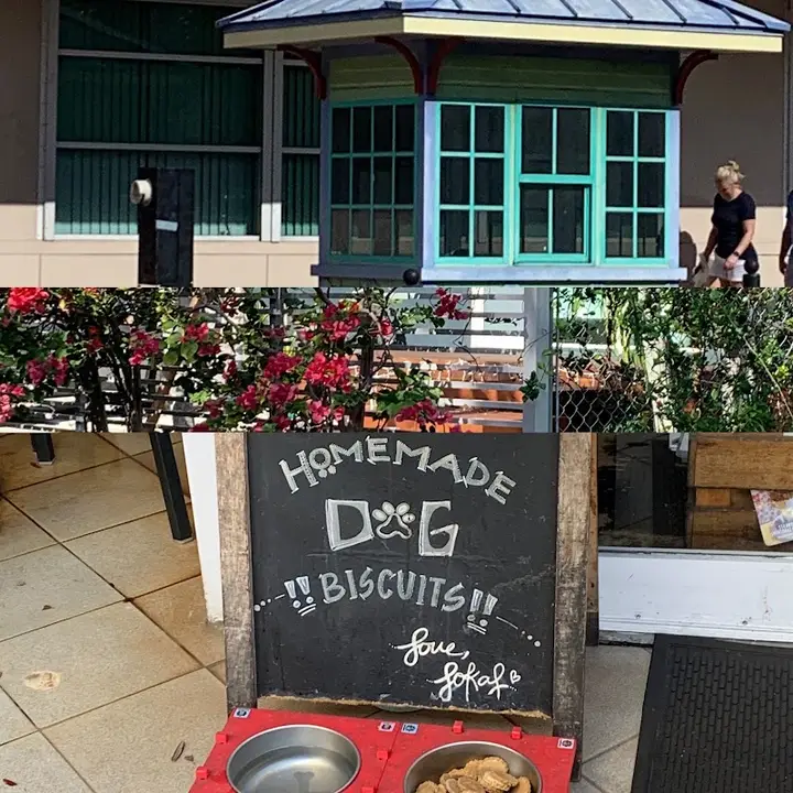Coconut Grove Farmers Market
