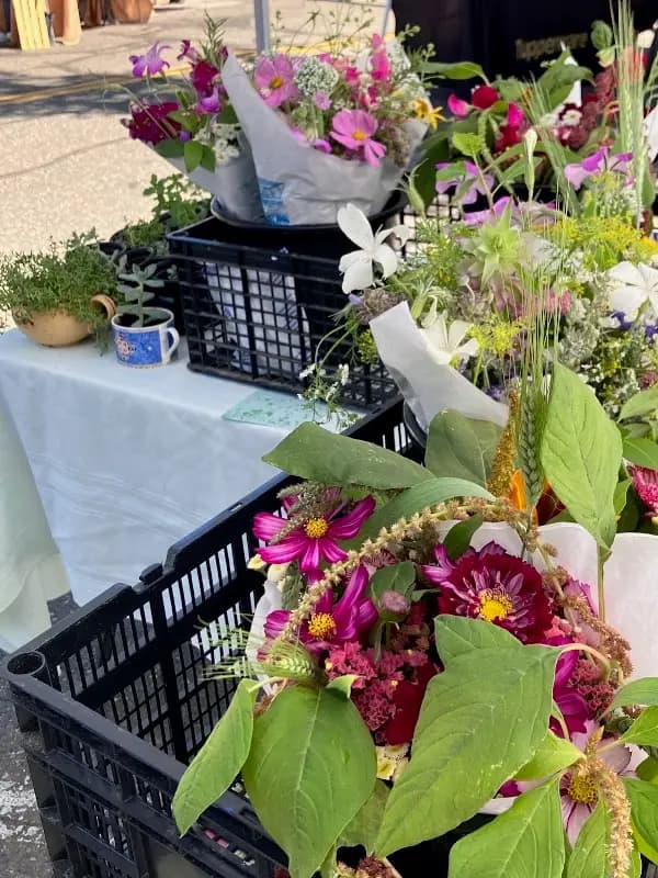 Colfax Farmers Market