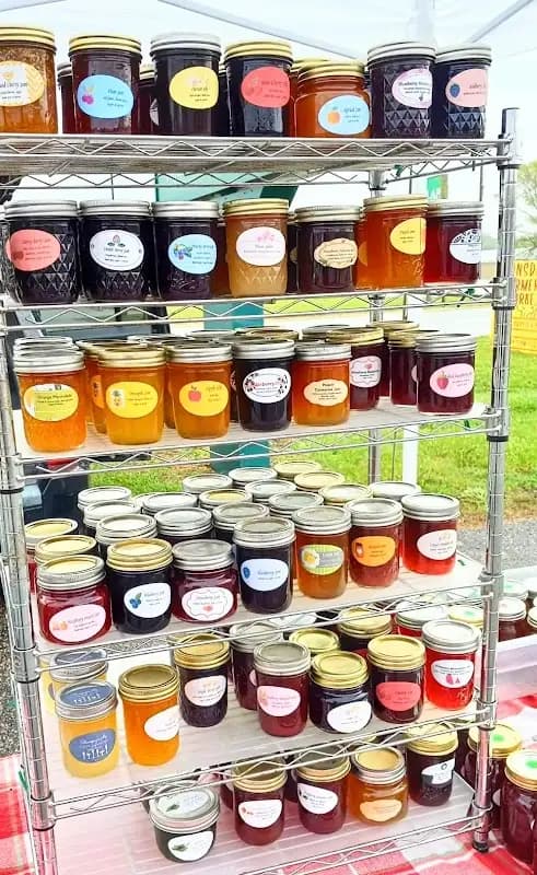 College Hill Farmers Market photo 2