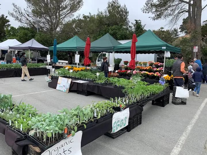 College of San Mateo Certified Farmers' Market