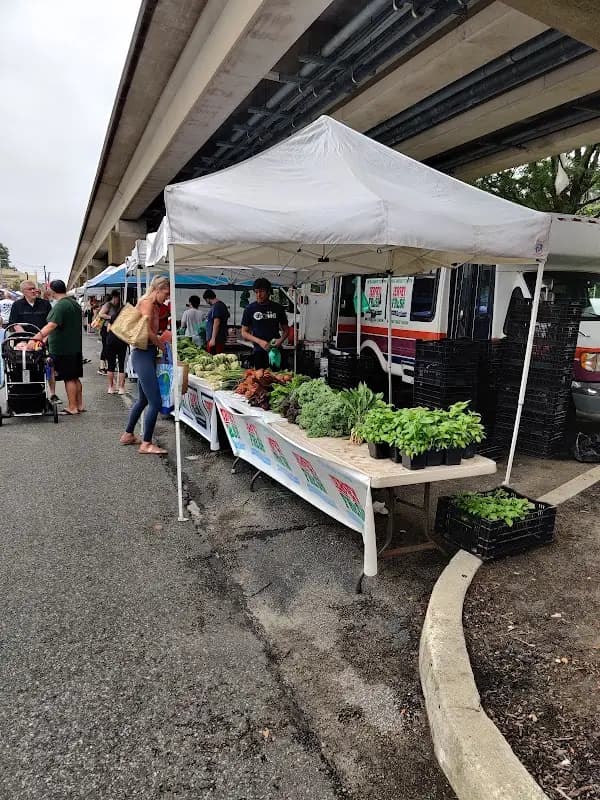 Collingswood Farmers Market photo 2