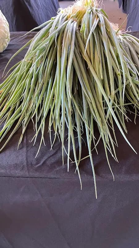 Columbia Fresh Farmers Market photo 2