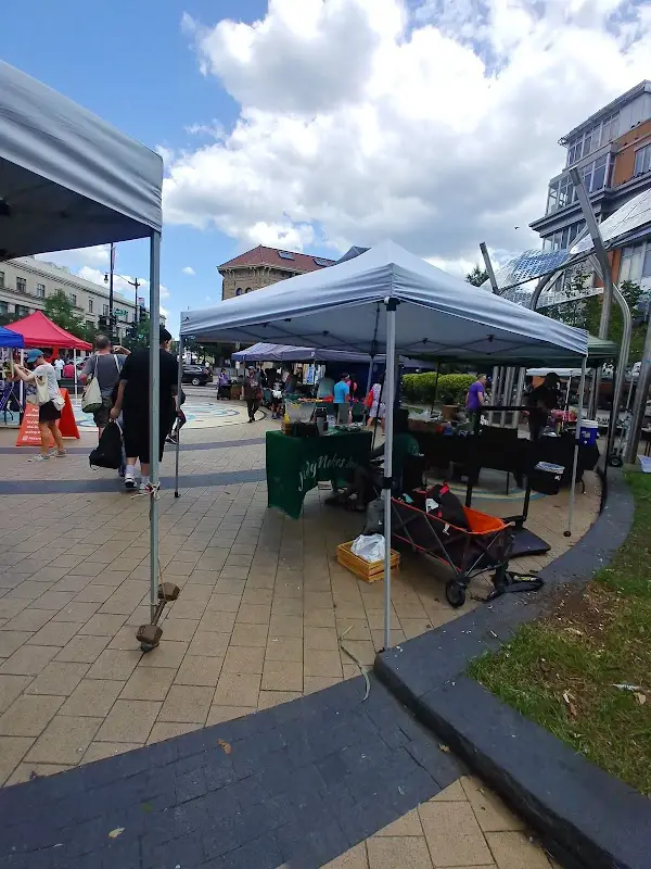 Columbia Heights Farmers Market photo 2